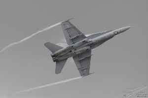 dsc_0993