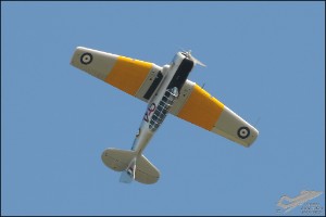 AKS_7985a