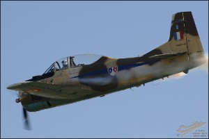 AKS_8077a