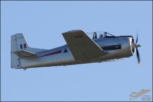 AKS_8101a