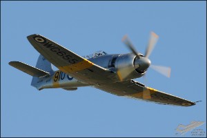 AKS_8228a