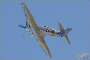 AKS_8237a
