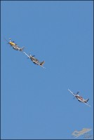 DSC_0031a