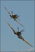 AKS_6442a