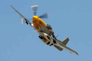 AKS_6663a