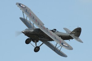 AKS_6856a