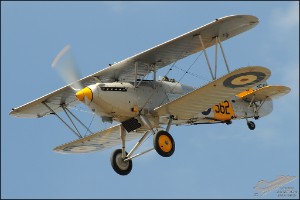 AKS_6895a