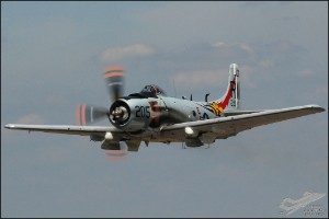 DSC_0051a