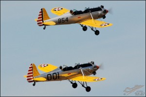 DSC_0242a