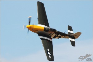 DSC_0282a