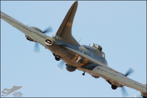 DSC_0286a