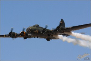 DSC_0309a
