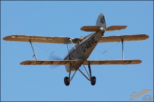 DSC_0324a