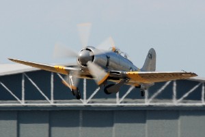 DSC_0355a