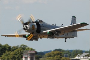 DSC_0367a