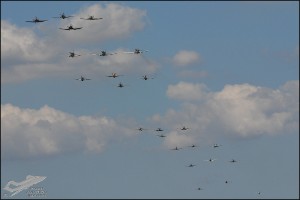 DSC_0461a