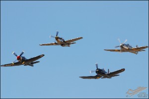 DSC_0463a