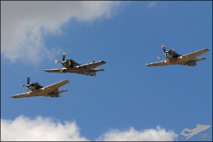 DSC_0464a