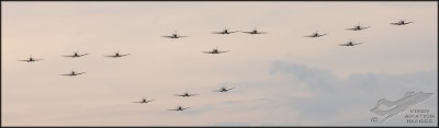 AKS_7575a