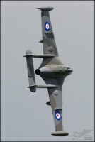 DSC_0293_edited