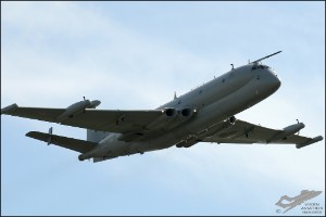 AKS_5929a