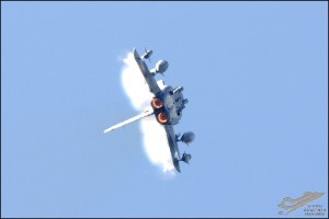 DSC_0088a