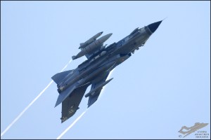 DSC_0110a