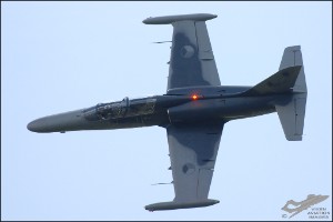DSC_0141a