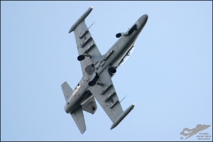 DSC_0147a