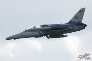 DSC_0164a