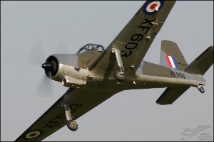 AKS_3883a