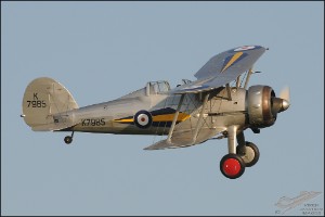 AKS_4169a