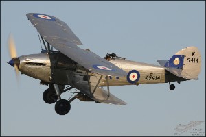 AKS_4181a
