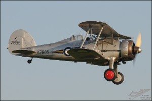 AKS_4196a