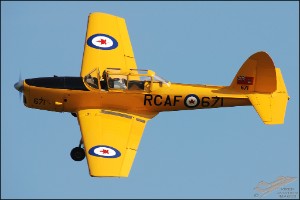 DSC_0111a