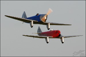 DSC_0144a