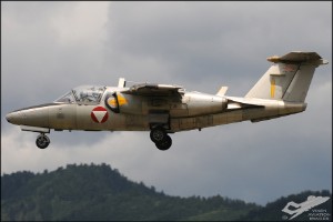 aks_2013a