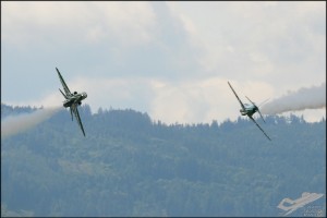 aks_2194a