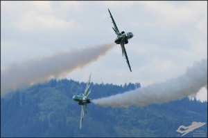 dsc_0264a