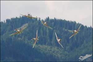 dsc_0303a