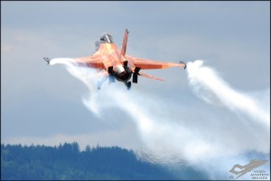 dsc_0338a