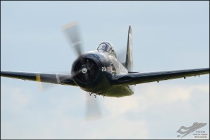 d7t_2495a_edited