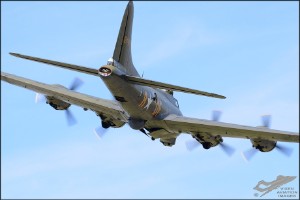 d7t_4837a