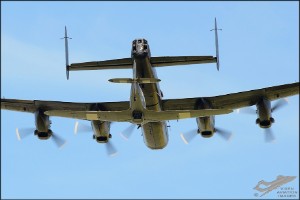 d7t_4913a