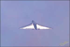 d7t_6313a