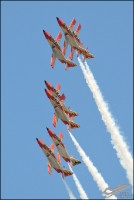D7T_8840