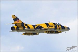 d7t_0279a