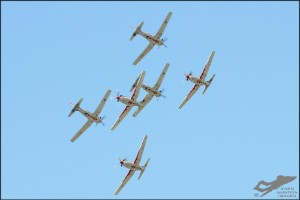 d7t_9050a