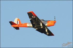 D7T_1081a