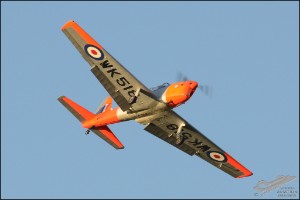 D7T_1095a